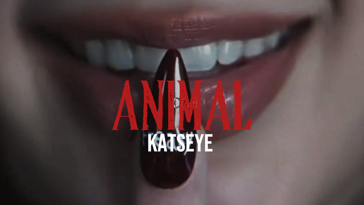 ANIMAL KATSEYE 