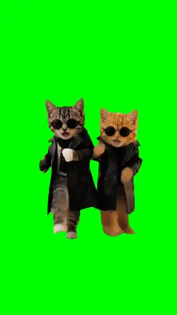 SMOOTH CRIMINAL CATS