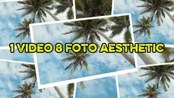 1 video 8 foto
