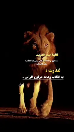 صقر العرب صدام حسين 