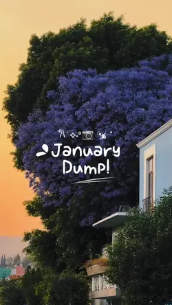 january dump 2026