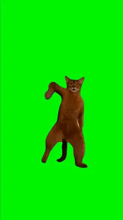 TECHNO CAT
