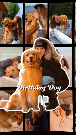 Birthday Dog 