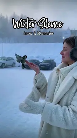 Winter Silence