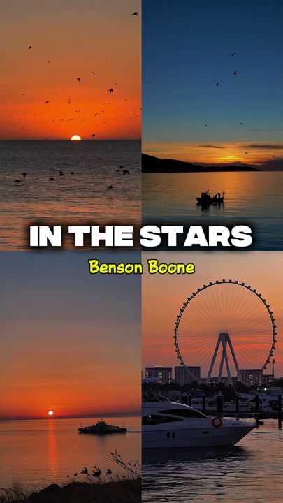 In The Stars | Vlog
