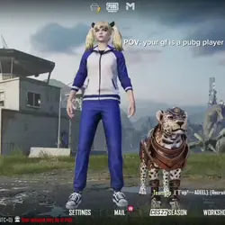 gf is a pubg player