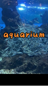 水族馆thucung