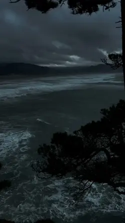 odaklanmış bir kafa