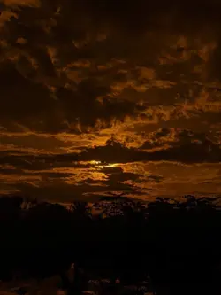 ٭٭٭٭٭٭٭٭٭٭٭٭٭٭٭٭٭٭٭٭