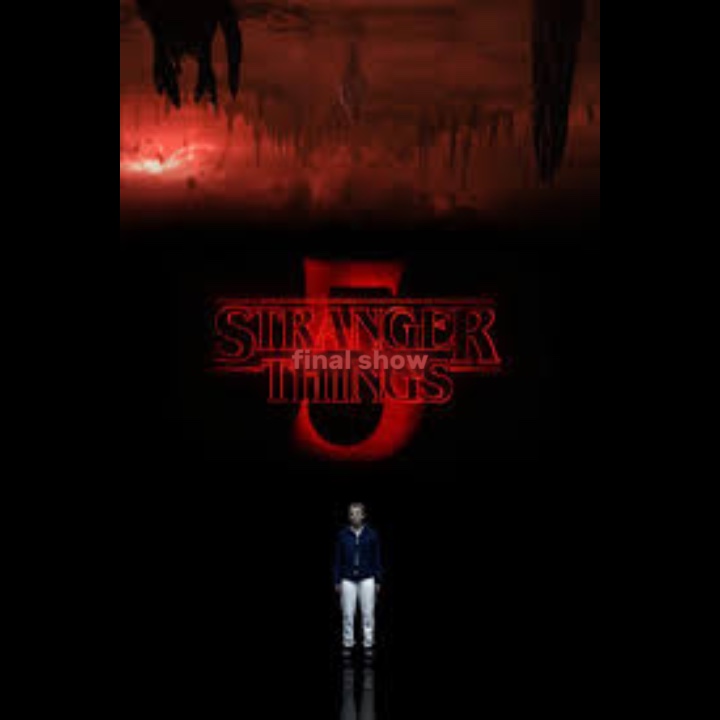 STRANGER THINGS 5