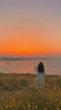 Our beloved summer 