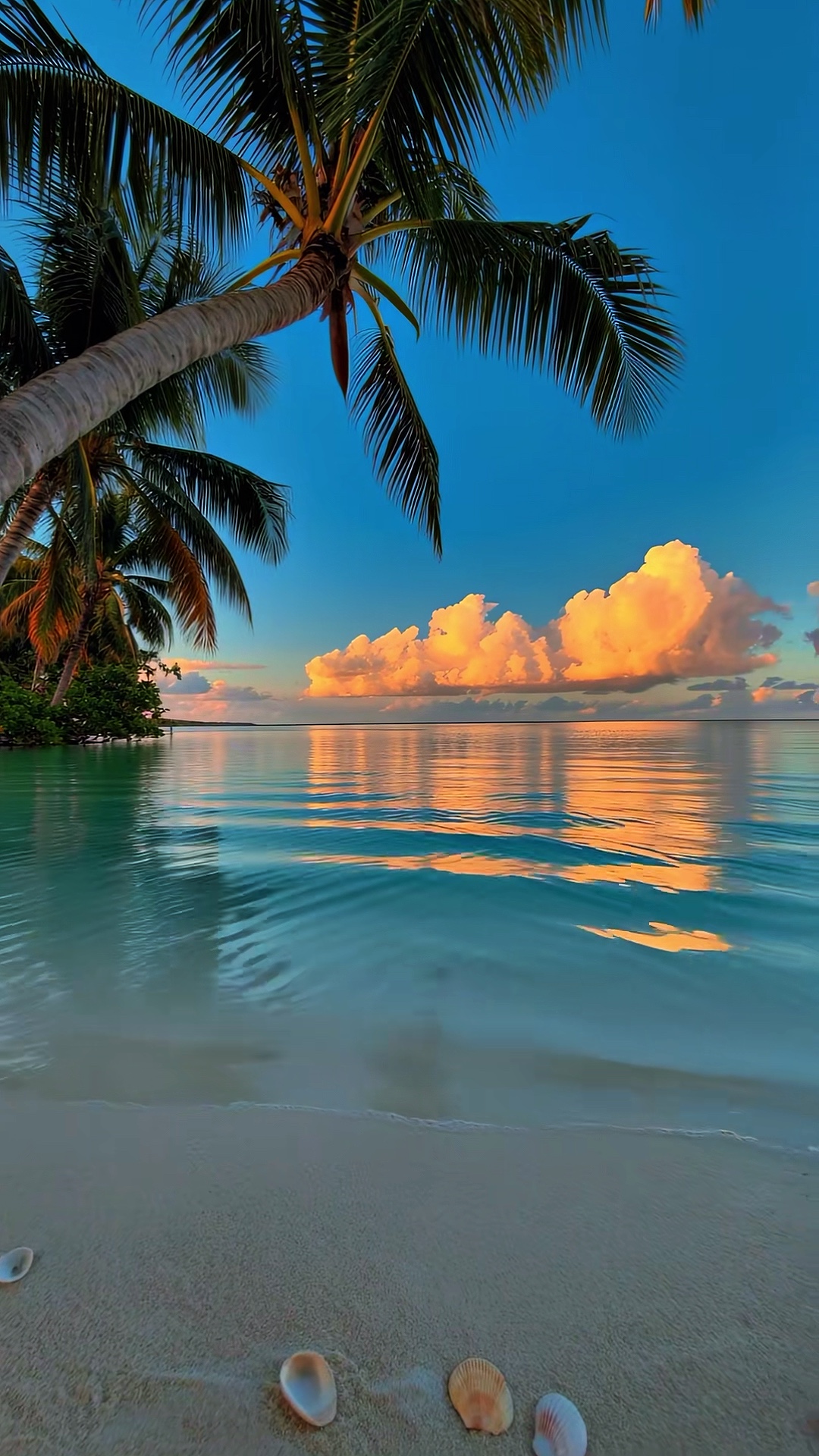 Long song 