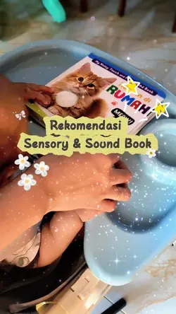 Sensory & Sound Book