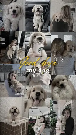 Good bye, my dog