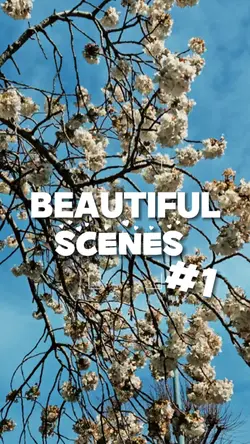 Beautiful Scenes #1