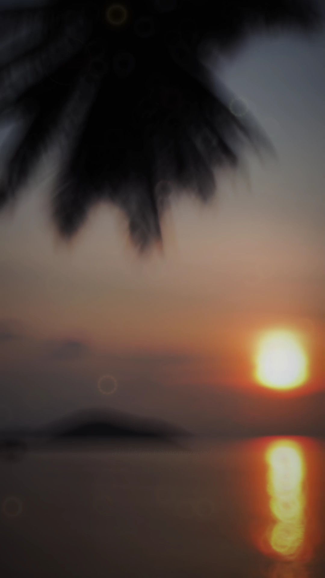 Từ Nay Về Sau...