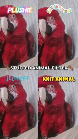 stuffed animal temp