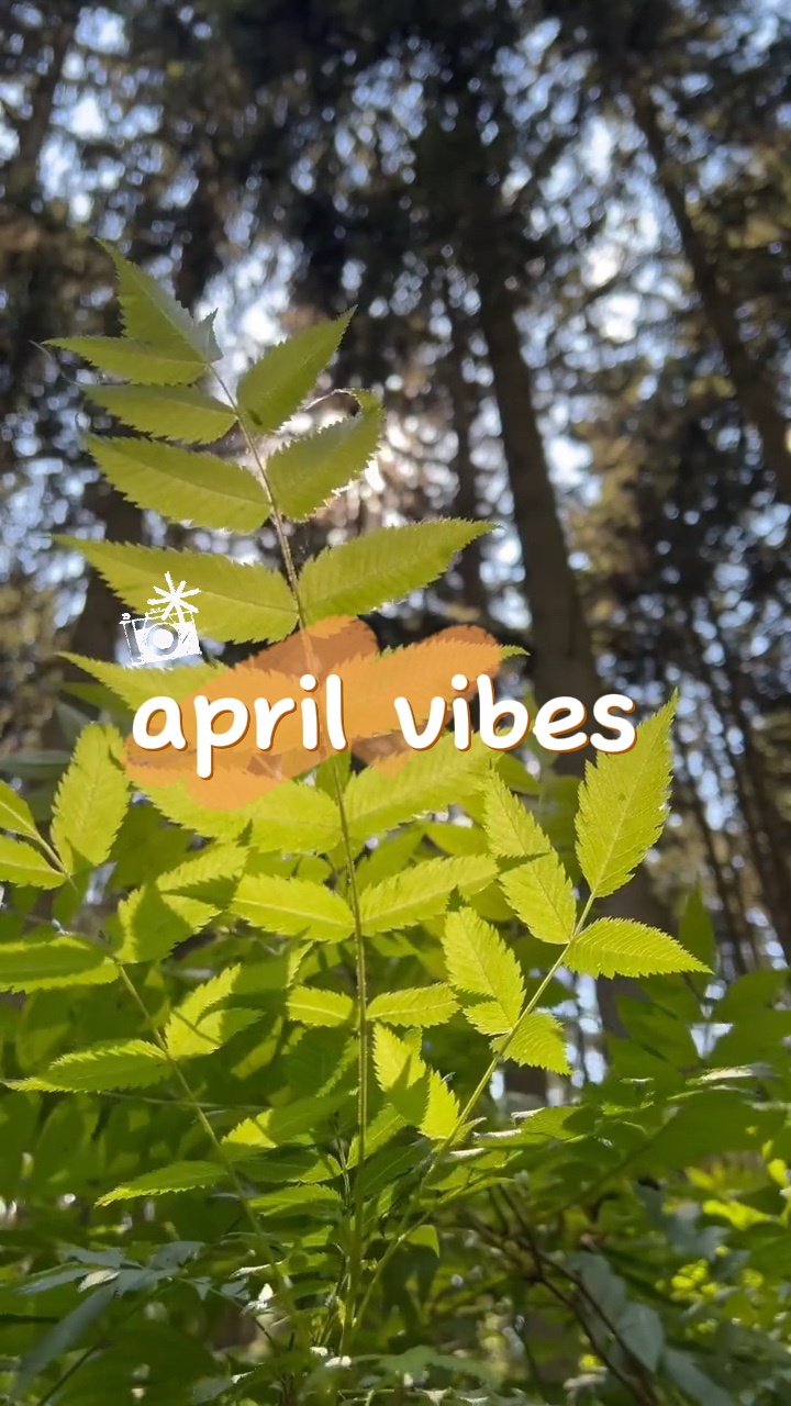 April vibes
