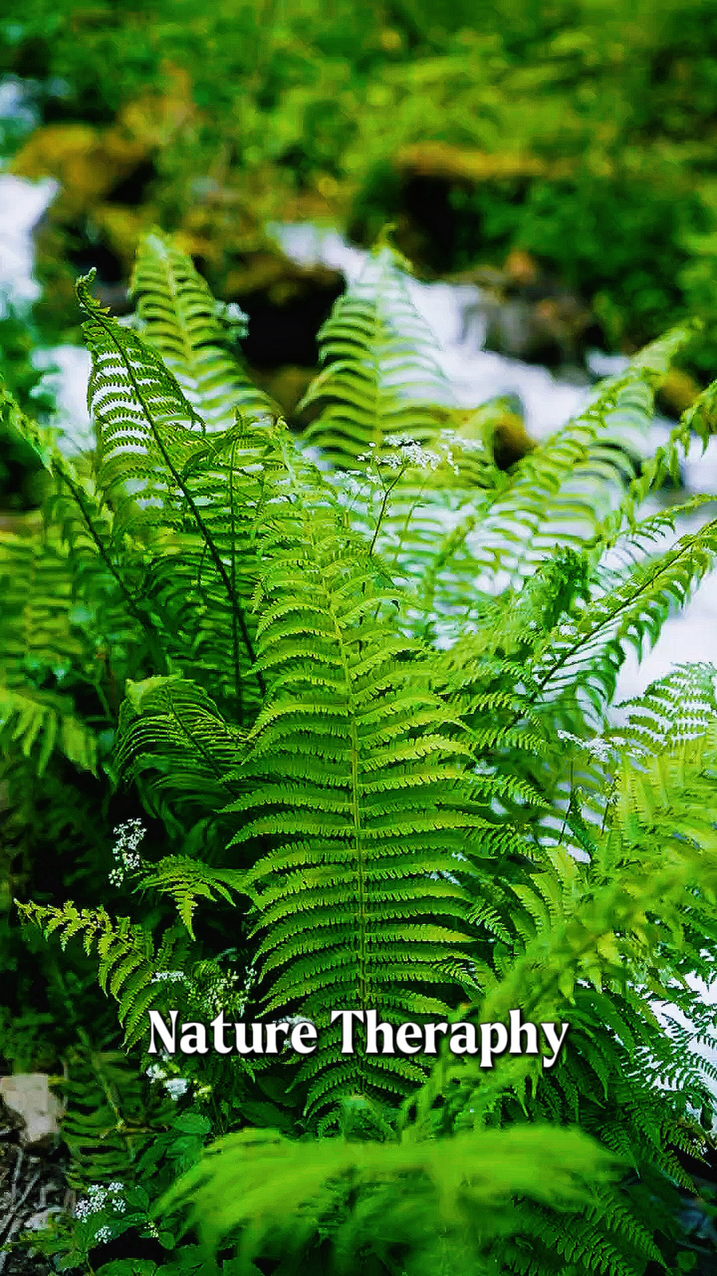 Cinematic Nature