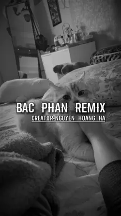 Bạc phận remix