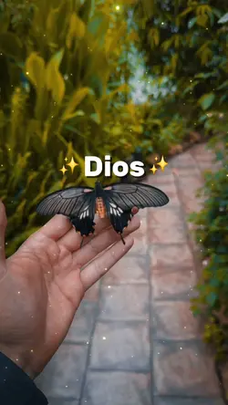 Gracias Dios
