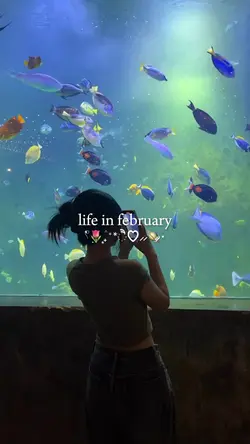 life in february