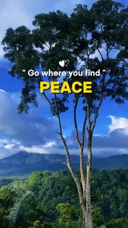 go where u find peac