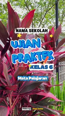 UJIAN PRAKTEK