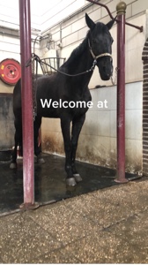 Voor de Nederlanders