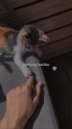 Jantung hatiku