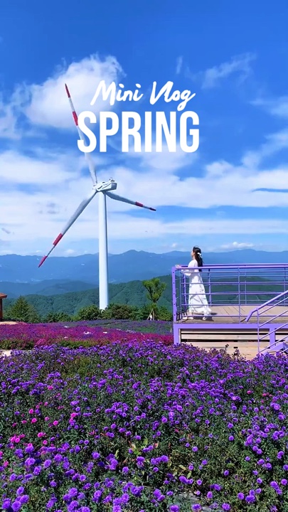 Mini Vlog SPRING 