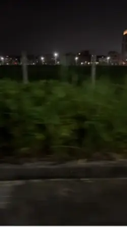 bgm:一个人想着一个人