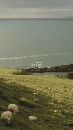 So i say a little pr