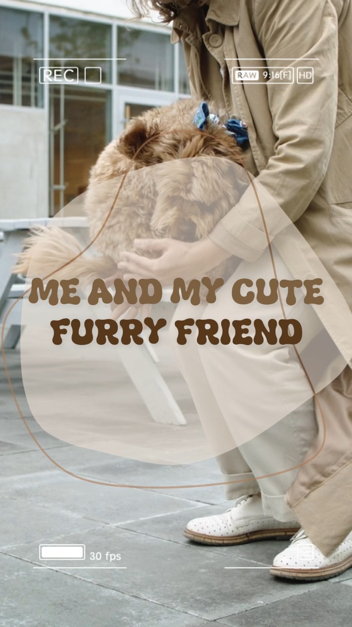 My Cute Furry Friend