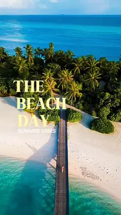 The Beach Day