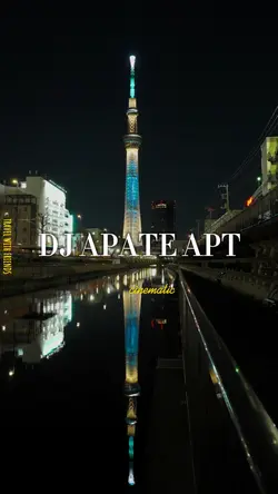 dj apate apt