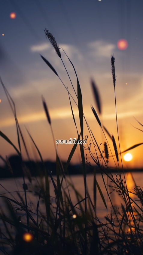 ลมหนาวมาแล้วนะ