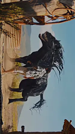 4k Movie free edit