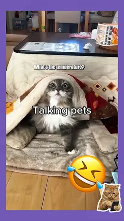 Talking pets 8