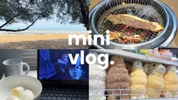 Mini vlog 