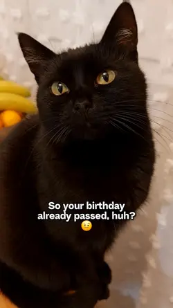 Happy belated bday!