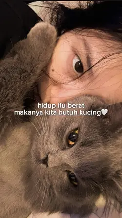 butuh kucing
