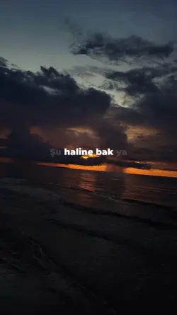 Yapayanlızsın....