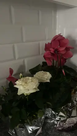 Aşkların en güzelini