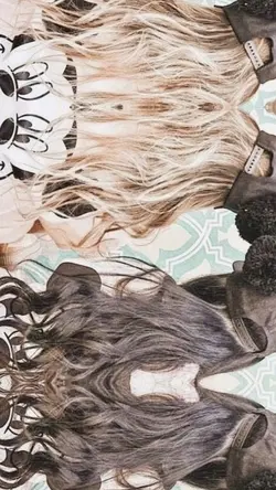 相棒(ﾘｸｴｽﾄ)