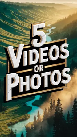 5 videos or photos