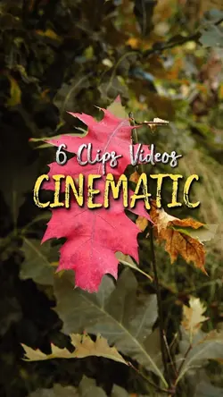 6VIDEOS CINEMATIC 