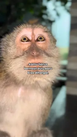 kamu harus
