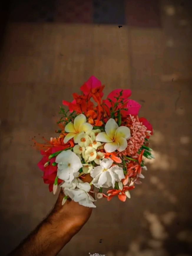 ইসলামিক ভিডিও 