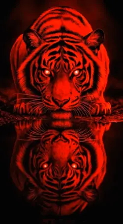 Red Tiger Fury